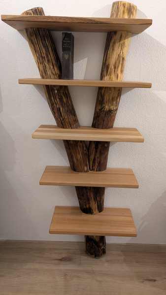 in der mitte aufgetrennten Stamm aus Robinie wurde wieder wie zwei Hosenbeine zusammengesetzt